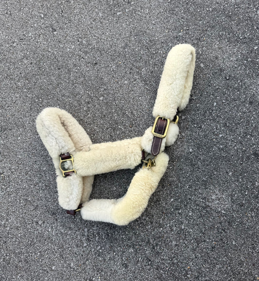Dover Shipping Halter