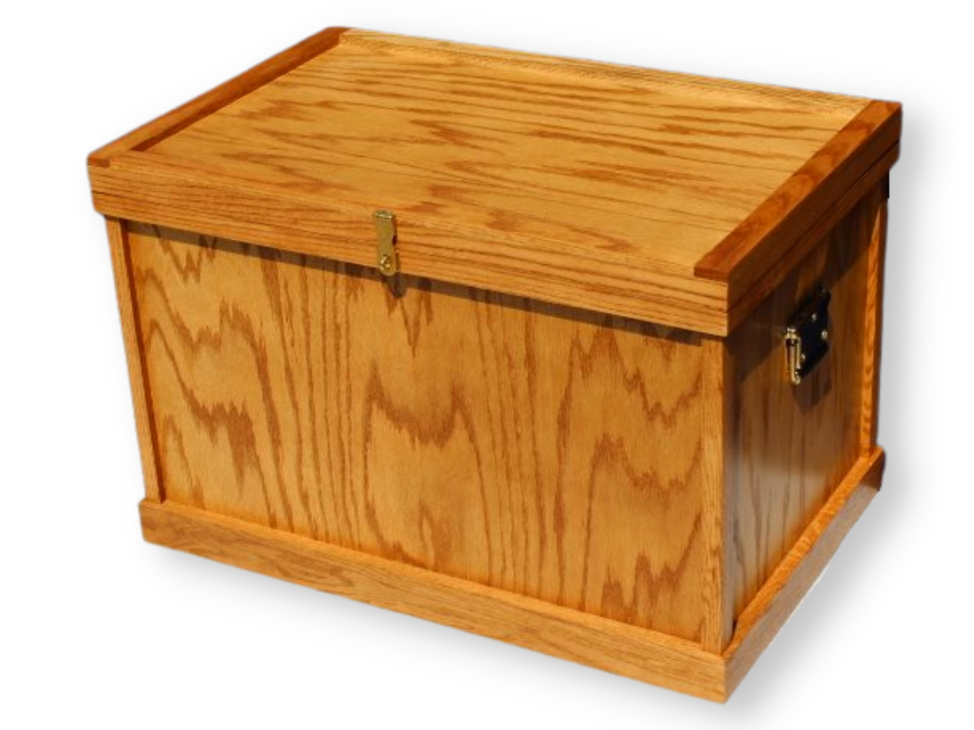 Medtrunk.png?v=1727213371&